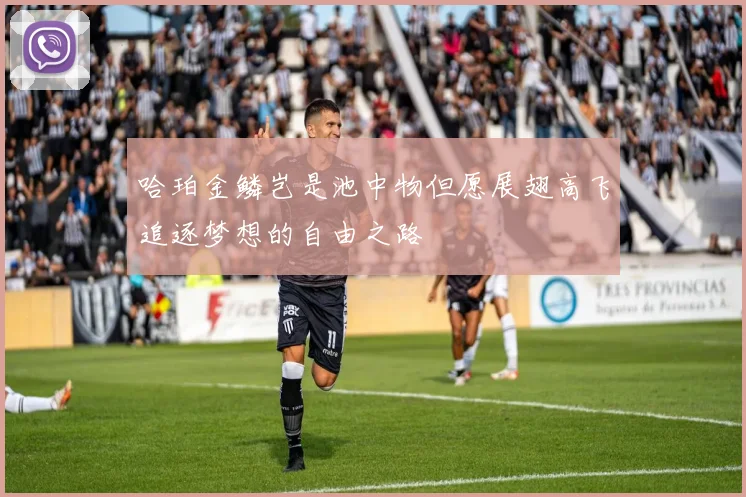 哈珀金鳞岂是池中物但愿展翅高飞追逐梦想的自由之路